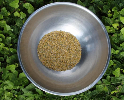 Sennephøst 8 Sennephøst 8