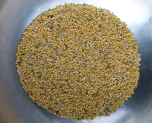 Sennephøst 9 Sennephøst 9
