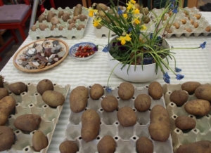 Kartofler og tang Kartofler