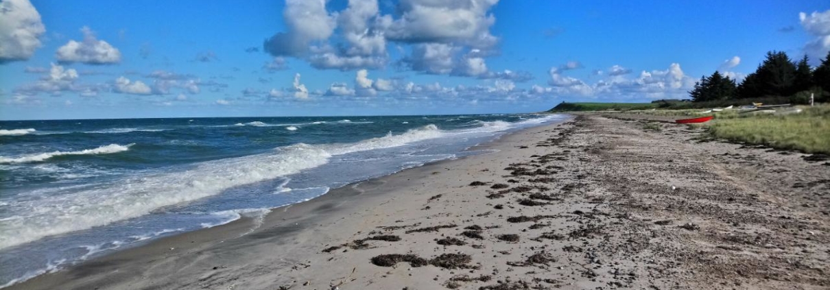 Skovgård 1280x722 Stranden
